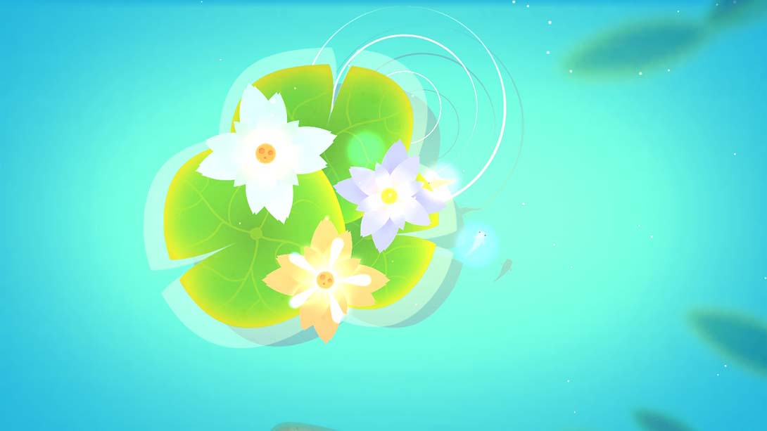 鲤 DX Koi DX 中文_2