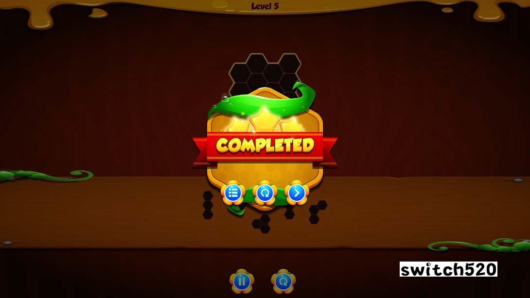 【美版】六边形拼图块 Hexa Puzzle Block 英语_1