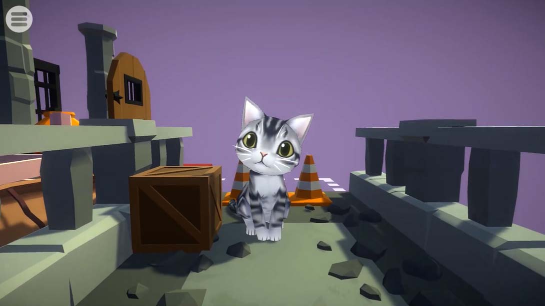 【美版】Cat Slide Tiles 英语_6