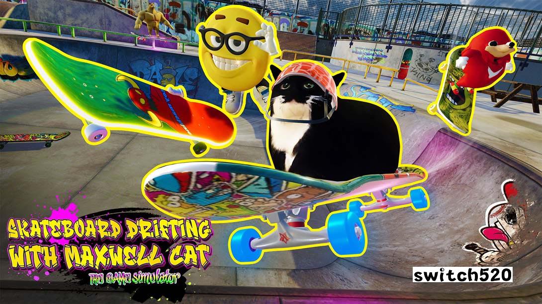 滑板漂流与麦克斯韦猫游戏截图1