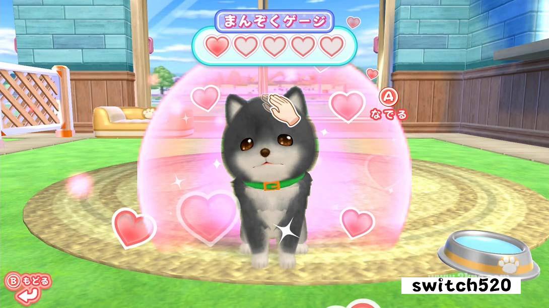 【日版】和狗一起玩!成为一名训狗师! .Play with dogs! Become a dog trainer! 日语_3