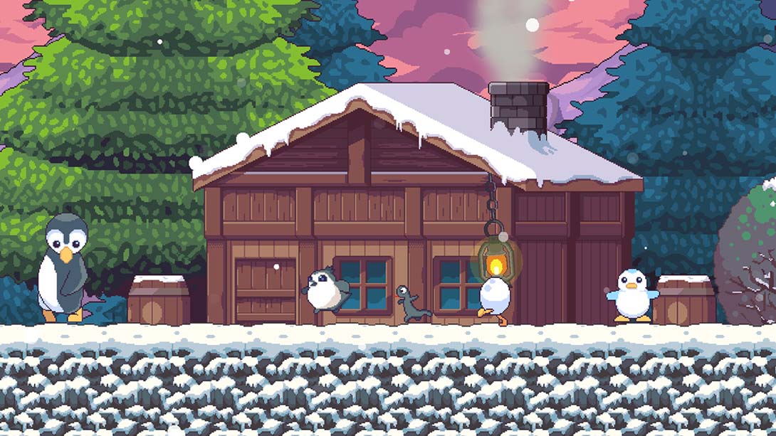 鸟之交响乐 Songbird Symphony 中文_4