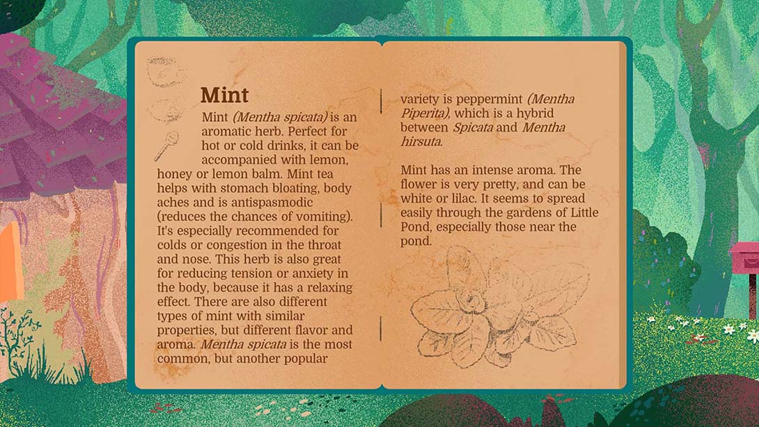 【美版】茶杯 Teacup 英语_3