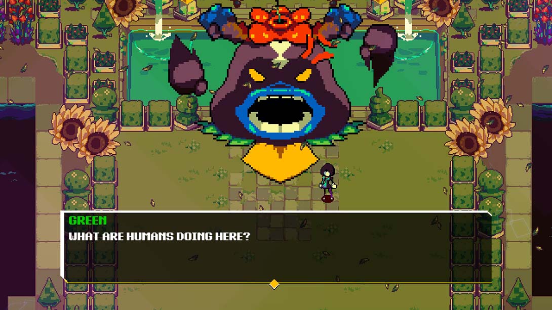 【美版】阿努查德 Anuchard 中文_4