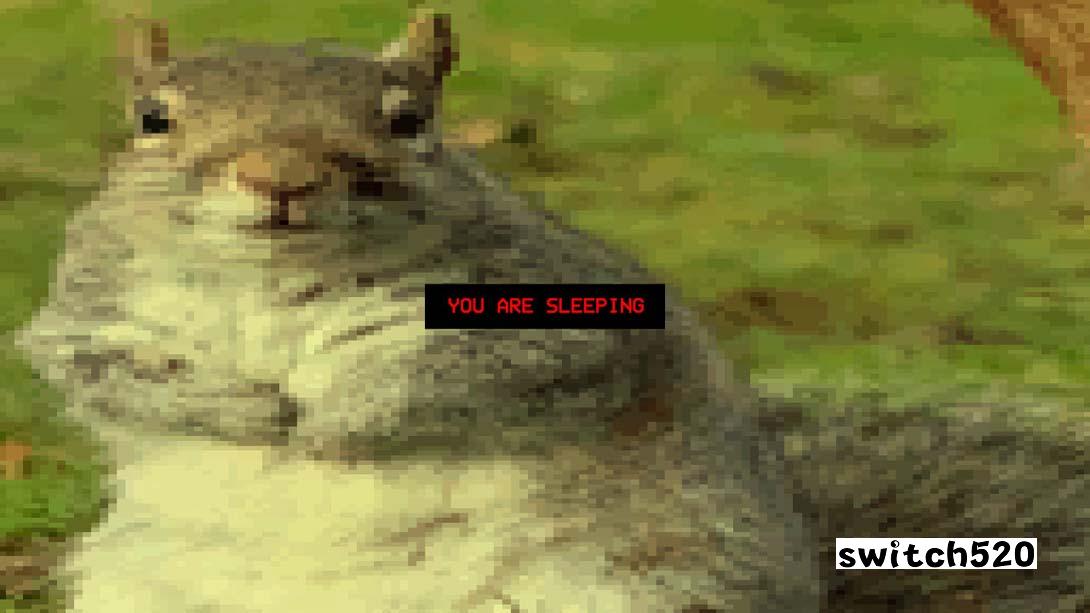 【美版】松鼠订书机 .Squirrel Stapler 英语_2