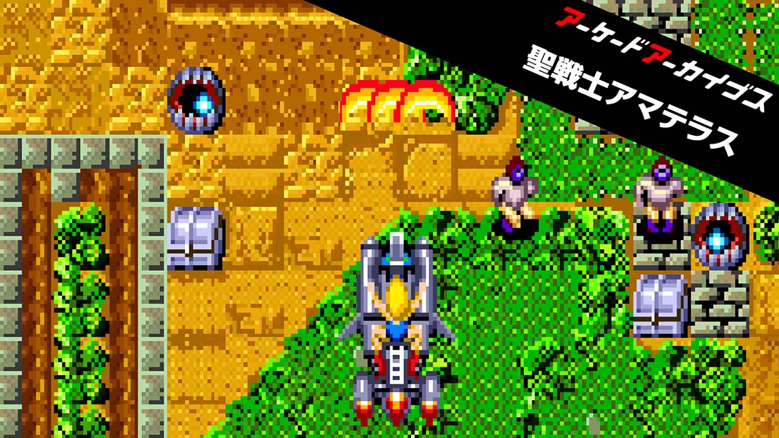 【日版】Arcade Archives Soldier Girl Amazon 英语_0