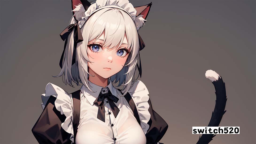 【日版】Neko女孩拼图 .Neko Girls Puzzle 英语_3