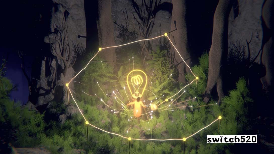 【美版】森林四重奏 The Forest Quartet 中文_1