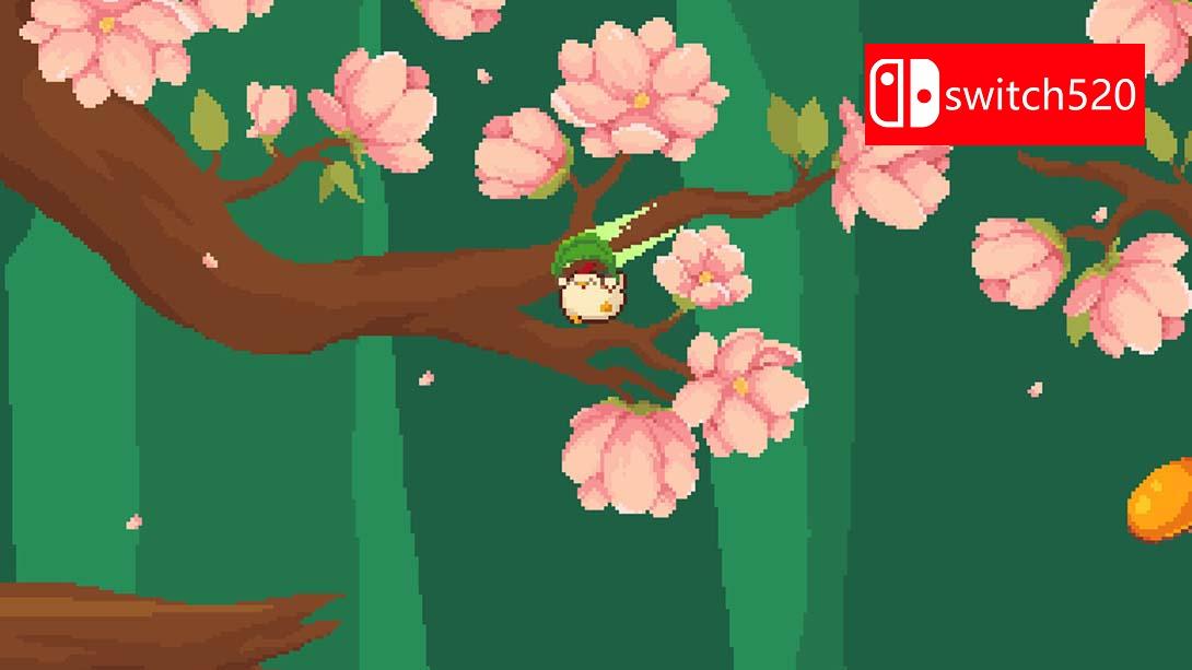 【美版】小鸡大探险 .Chicken Journey 英语_1