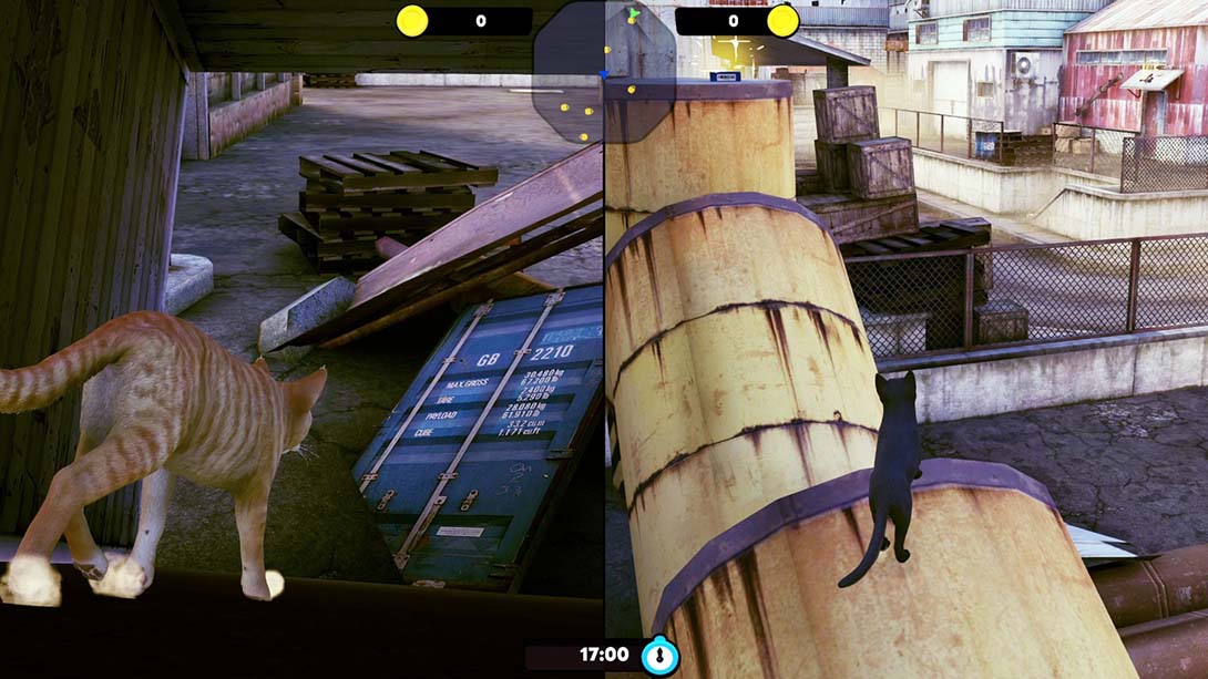 【美版】小猫大营救 Little Strays 中文_6