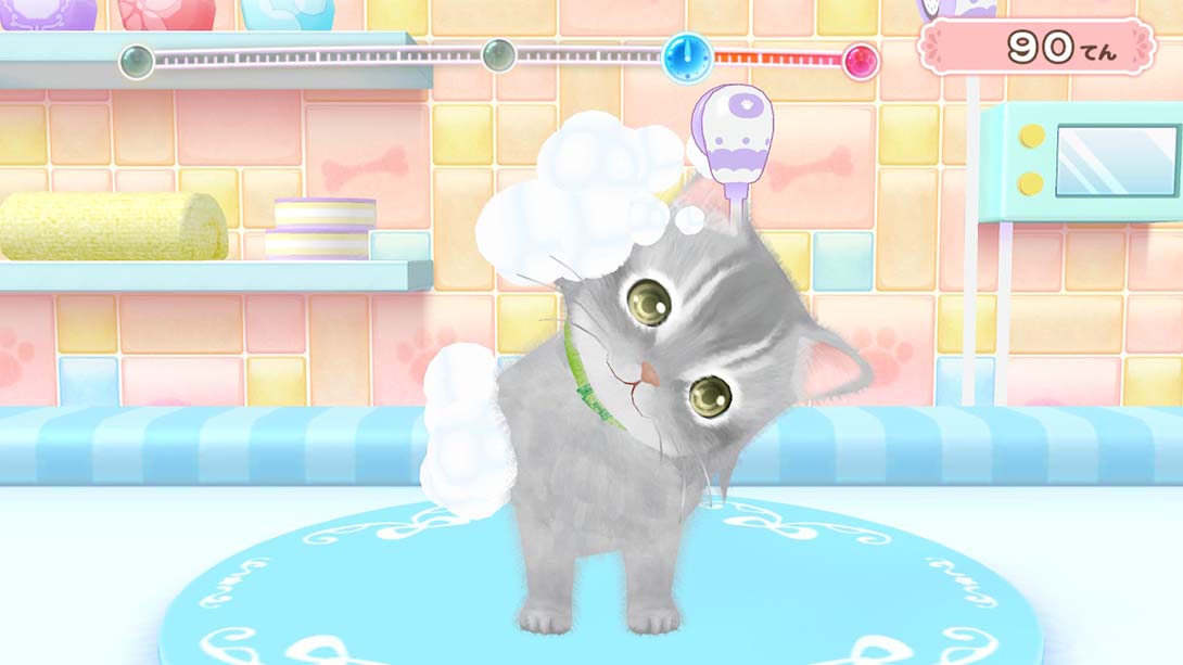 汪喵宠物店 与可爱宠物相伴的每一天 Wannyan Pet Shop Kawaii Pet... 日语_2