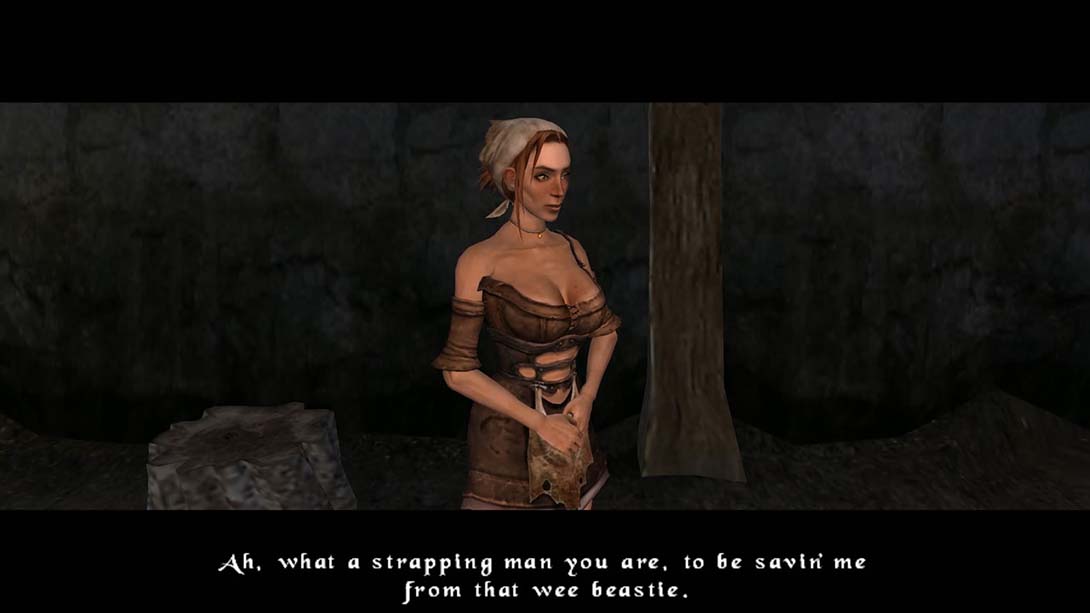 冰城传奇ARPG:重制版游戏截图2