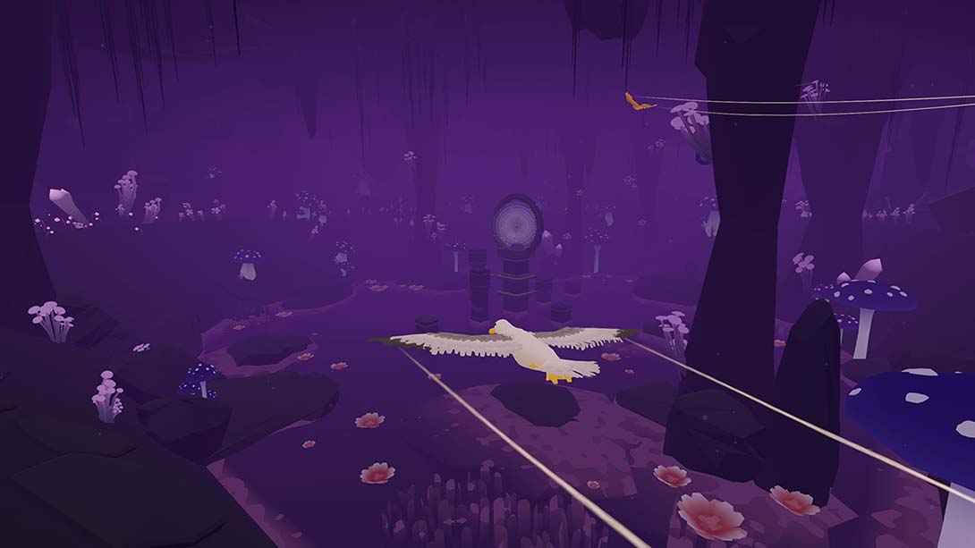 羽毛 Feather 中文_5