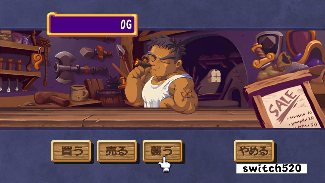 多卡波王国～怒之铁剑～金手指截图3