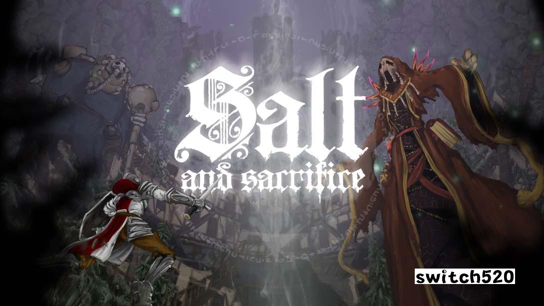 盐与献祭（2.0.0）金手指截图0