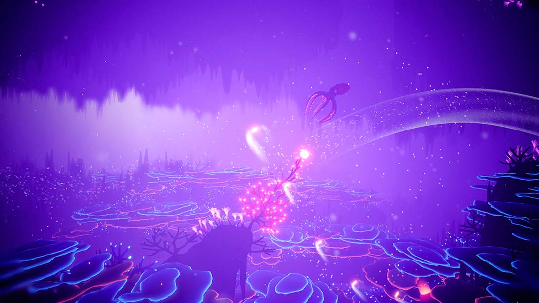 【美版】珊瑚.Koral 中文_4