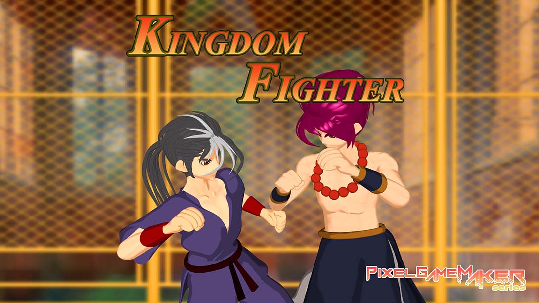 【美版】Pixel Game Maker Series KINGDOM FIGHTER 英语_0