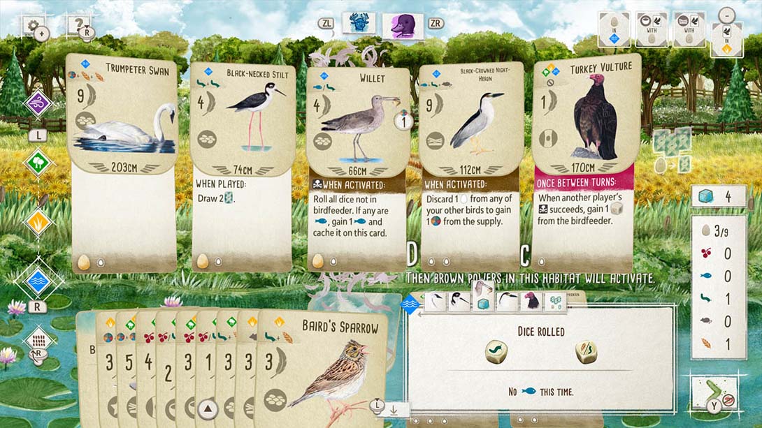 【美版】展翅翱翔 Wingspan 中文_5