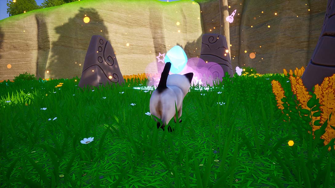 猫走!终极挑战 Cat Go! Ultimate Challenge 中文_2