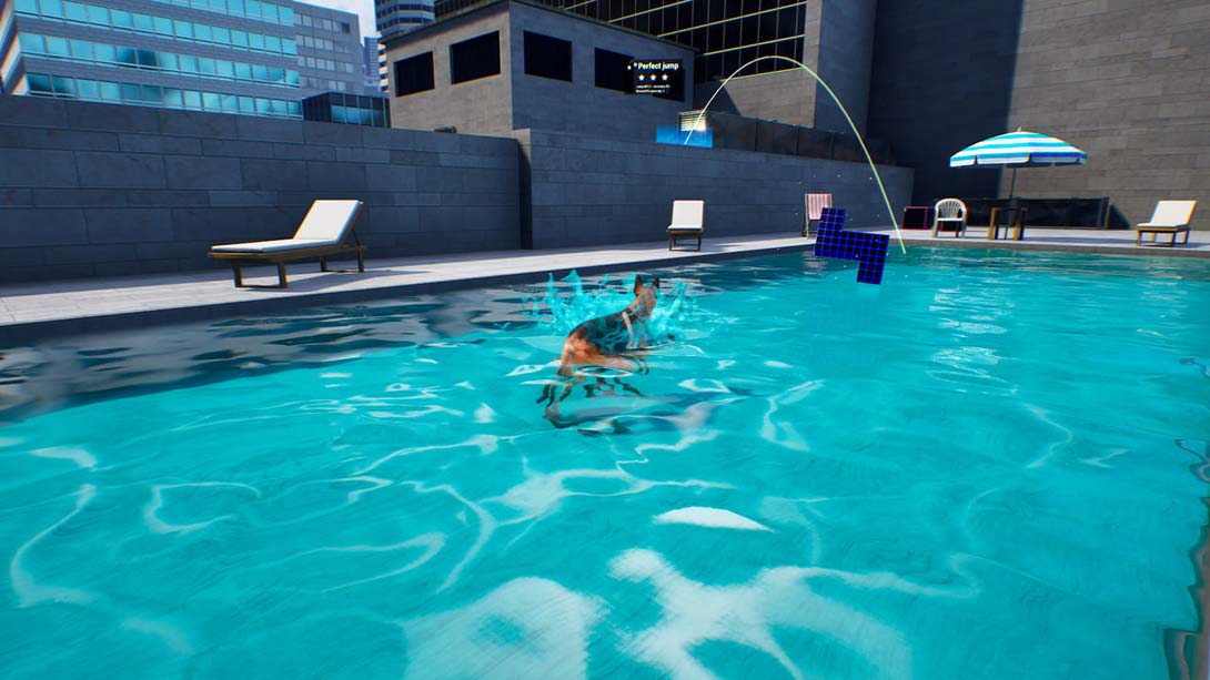 【美版】狗狗向上 .Doggy Up! 中文_1