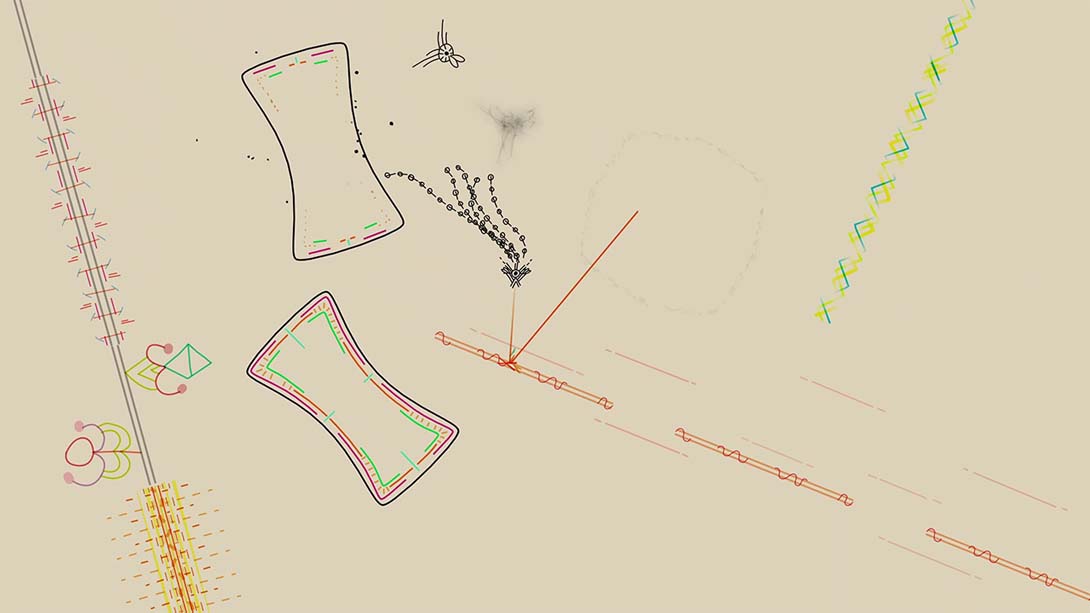 【美版】幼鳞 .Ynglet 中文_6