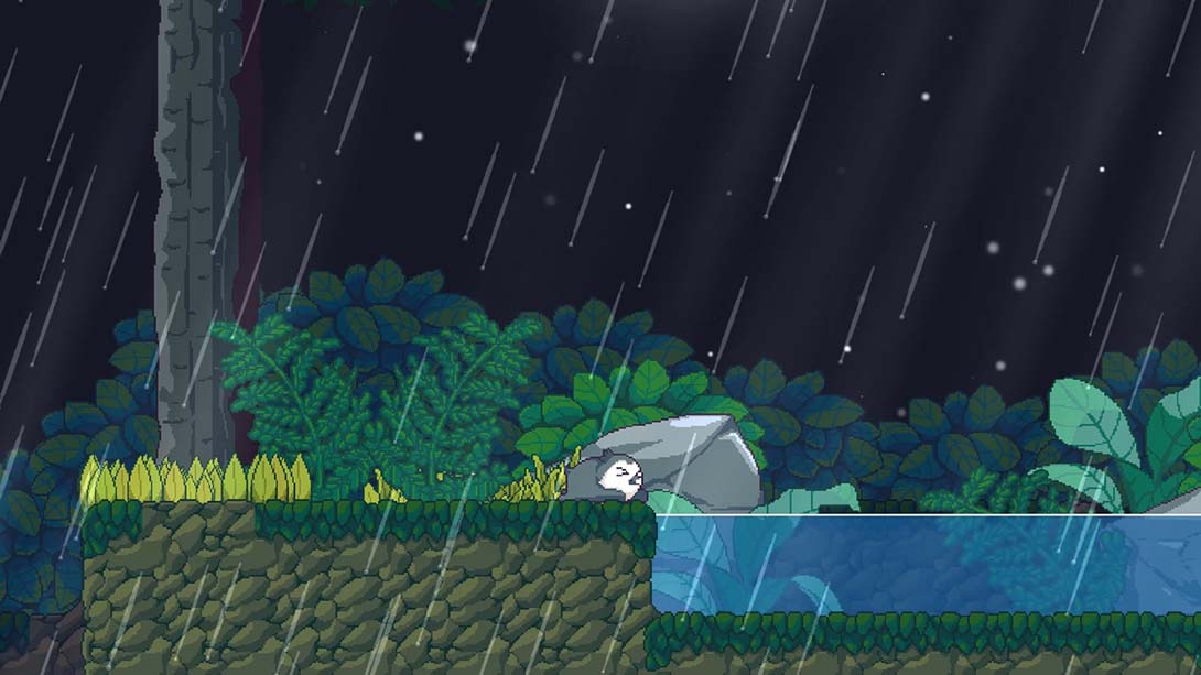 鸟之交响乐 Songbird Symphony 中文_1