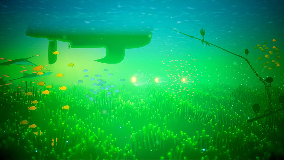 【美版】珊瑚.Koral 中文_1