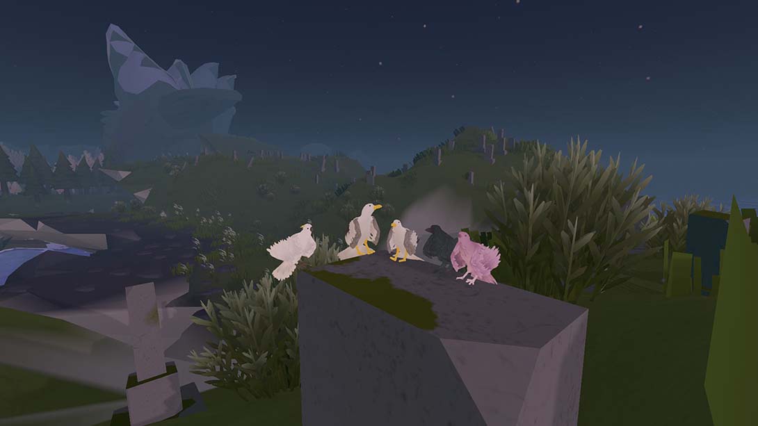 羽毛 Feather 中文_6