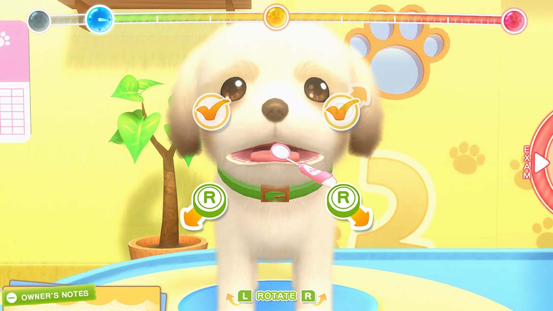 Pups & Purrs 动物医院游戏截图3