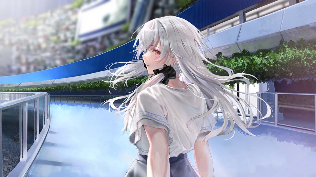 【日版】白昼梦的构想图 日语_6