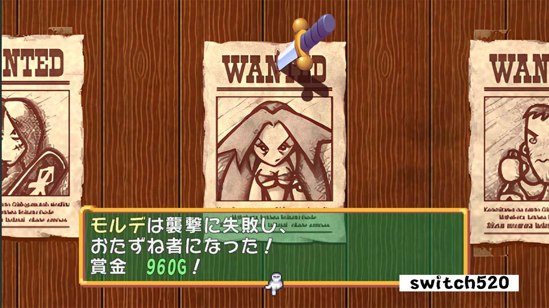 多卡波王国～怒之铁剑～金手指截图7