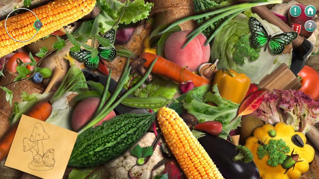 【美版】这么多东西 So Much Stuff 英语_4