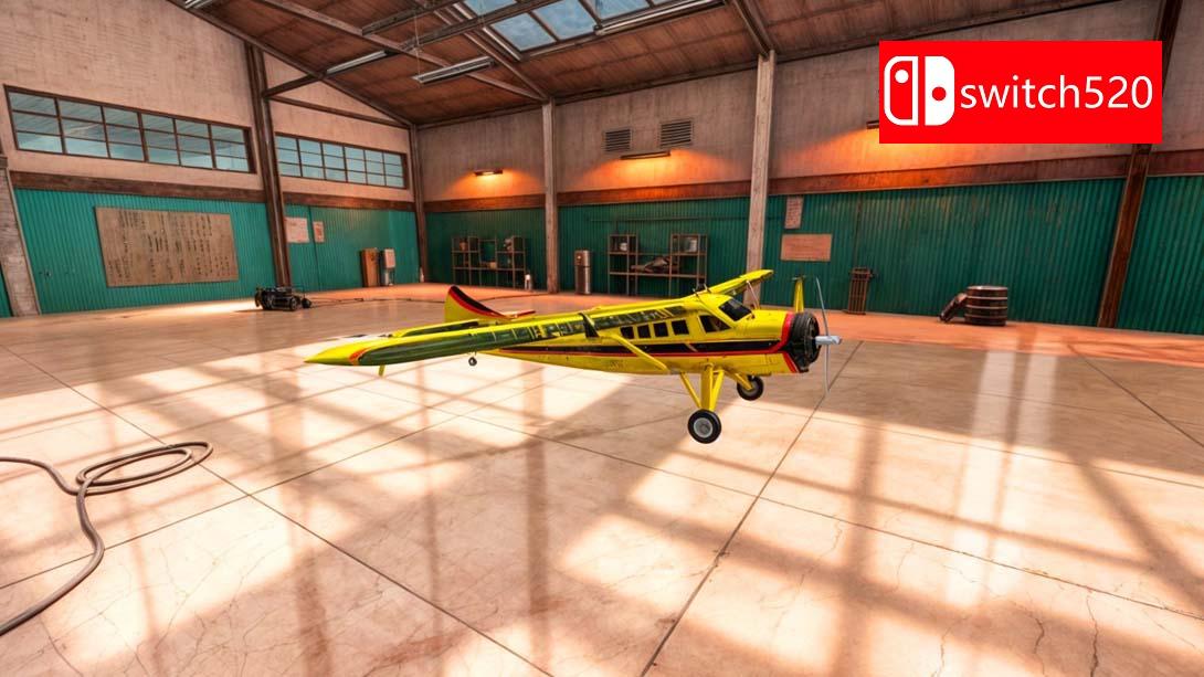 【美版】飞行模拟器Pro 2024 .Flight Simulator Pro 2024 英语_6