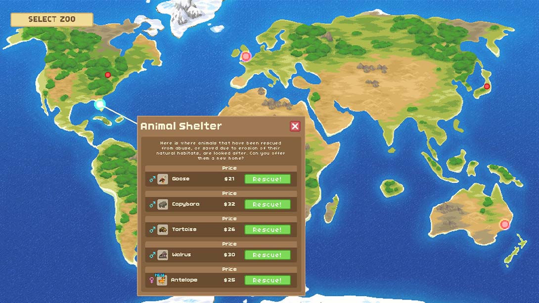 【美版】Let's Build A Zoo 中文_3