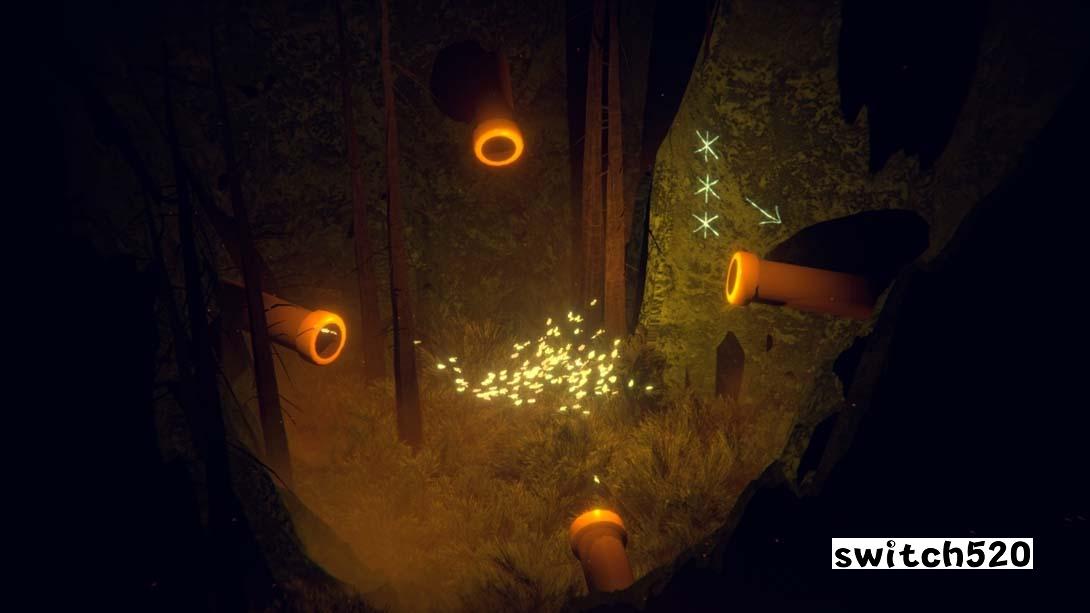 【美版】森林四重奏 The Forest Quartet 中文_2