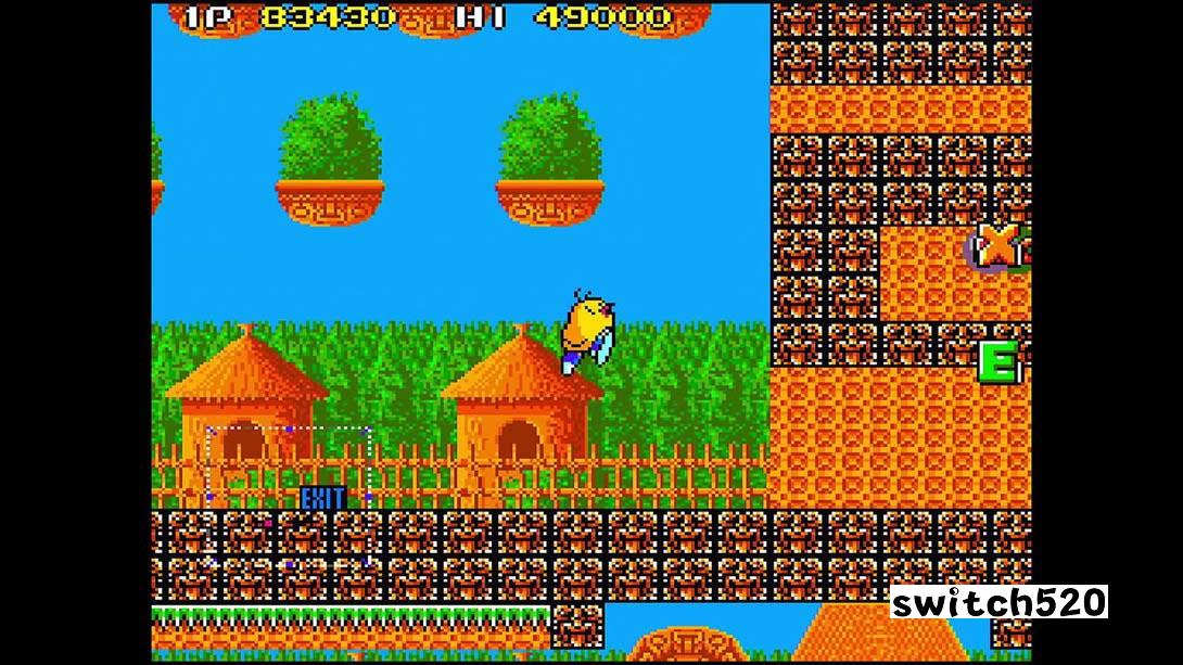 TAITO MILESTONES 2 游戏截图7