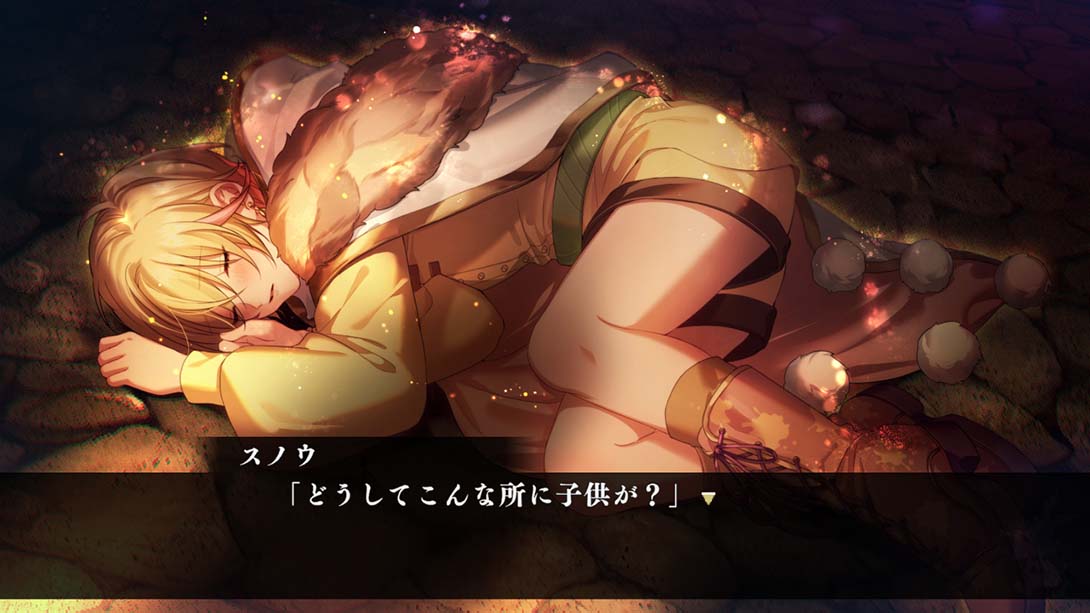 白与黑的爱丽丝 Shiro to Kuro no Alice for Nintendo Switch 日语_5