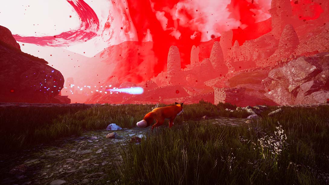 极北灵狐 Spirit of the North 中文_4