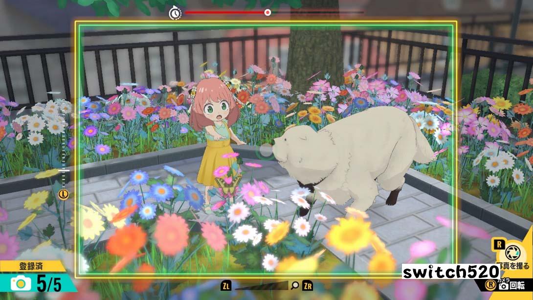 【日版】间谍过家家 日记大作战 .SPY×ANYA Operation Memories 日语_4