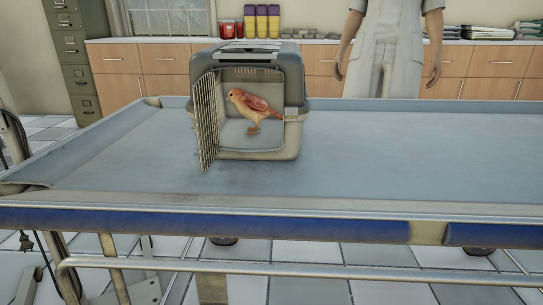 兽医 Animal Doctor 英语_4