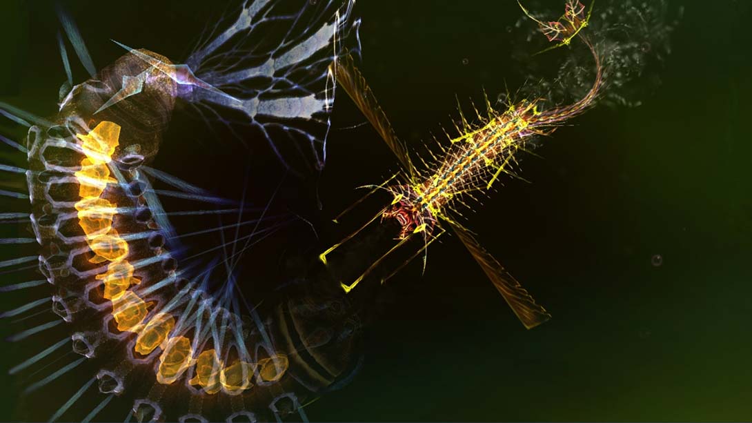 光影穿梭2:进化 Sparkle 2 Evo 英语_4