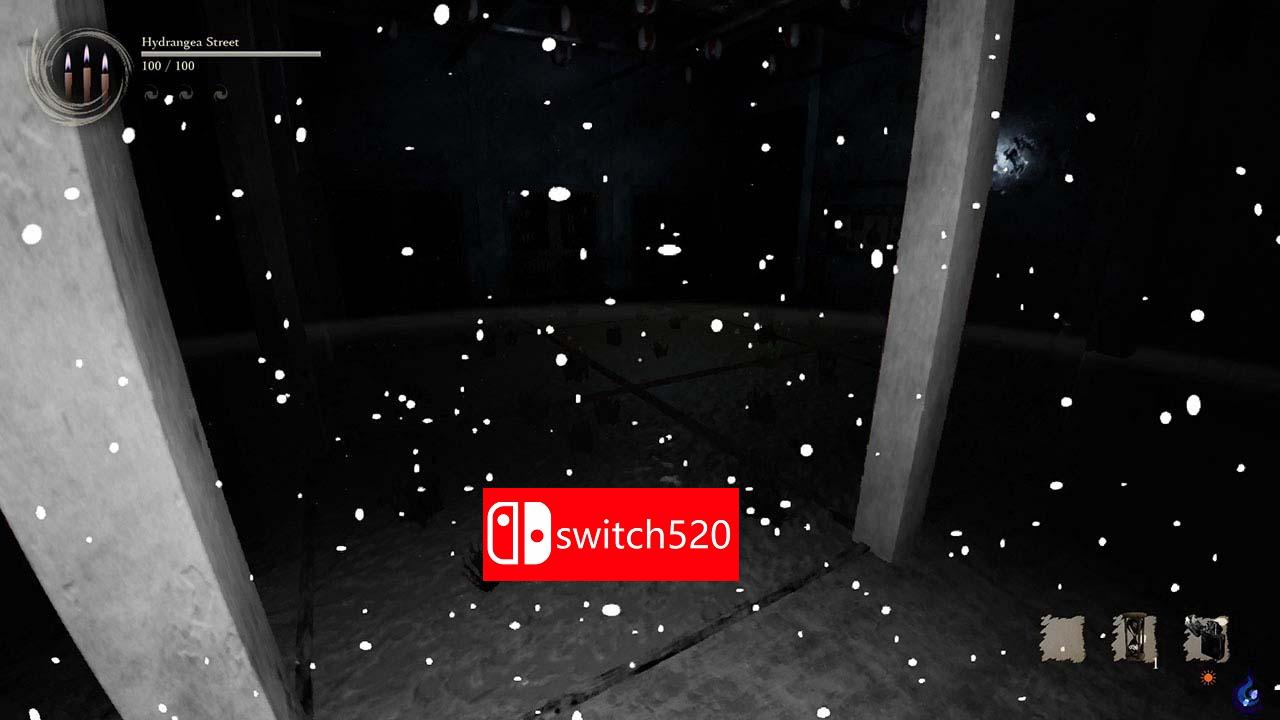 【日版】影之回廊2 雨之四葩 .Shadow Corridor 2 中文_1