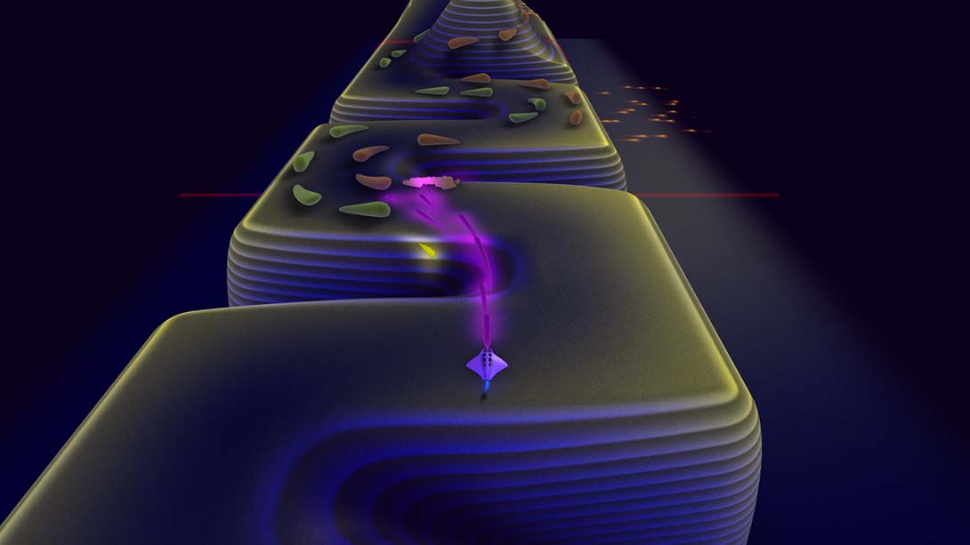 流光 Flowing Lights 中文_4