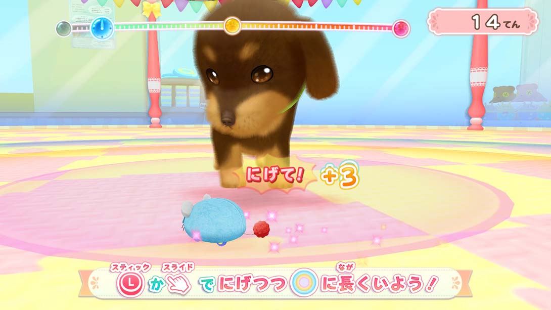 汪喵宠物店 与可爱宠物相伴的每一天 Wannyan Pet Shop Kawaii Pet... 日语_6