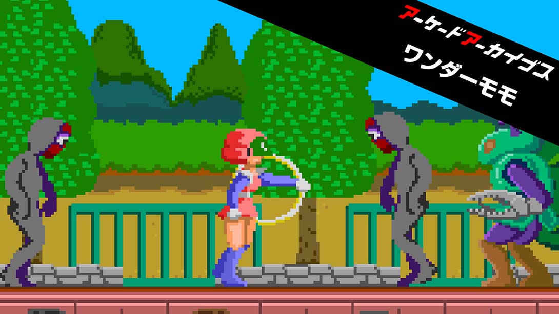 【日版】Arcade Archives WONDER MOMO 英语_0