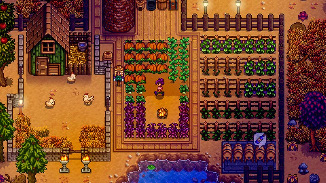 【美版】星露谷物语 Stardew Valley 中文_1