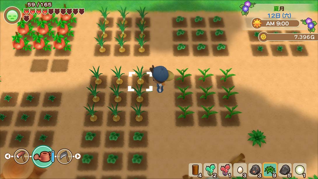 牧场物语 重聚矿石镇 金手指截图4