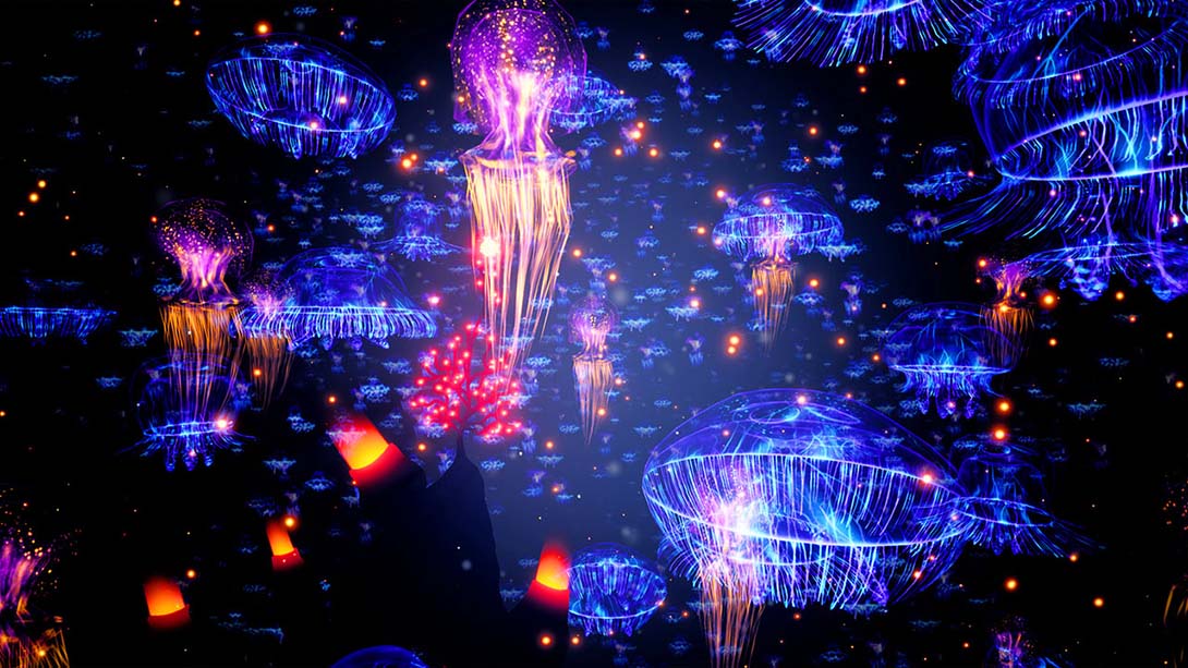 【美版】珊瑚.Koral 中文_6