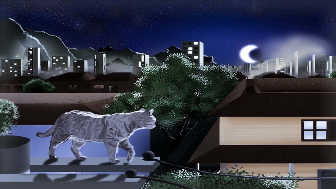 【美版】Cats Puzzle 英语_2