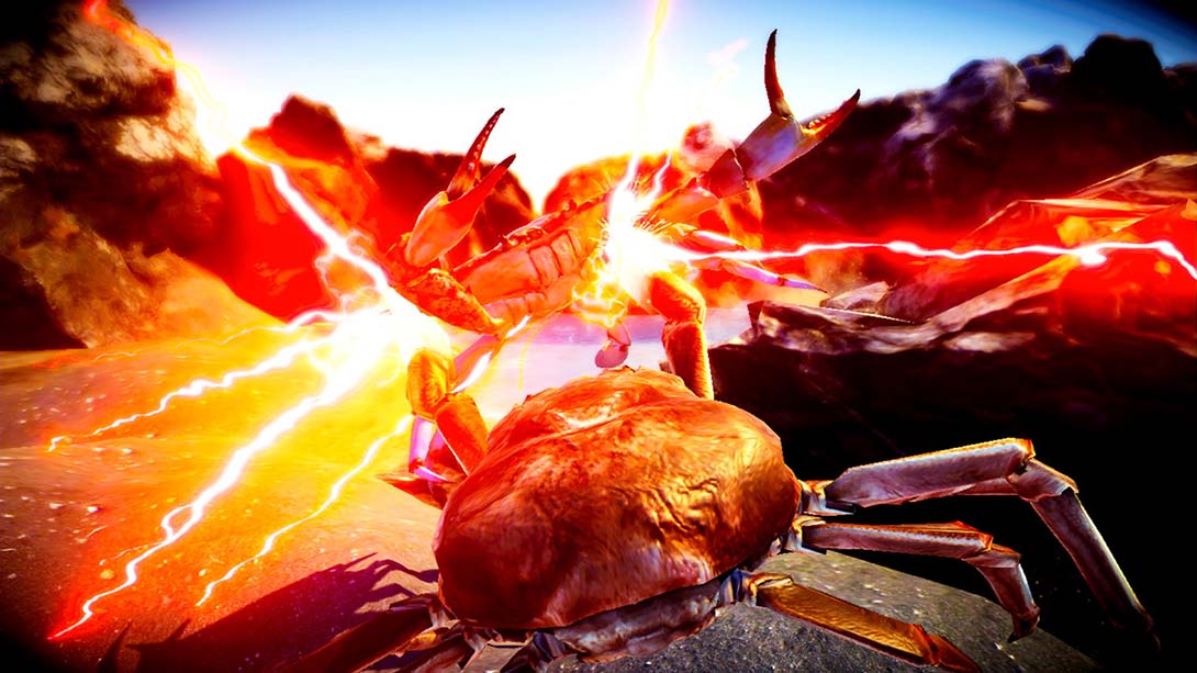 【美版】螃蟹大战 Fight Crab カニノケンカ 中文_1